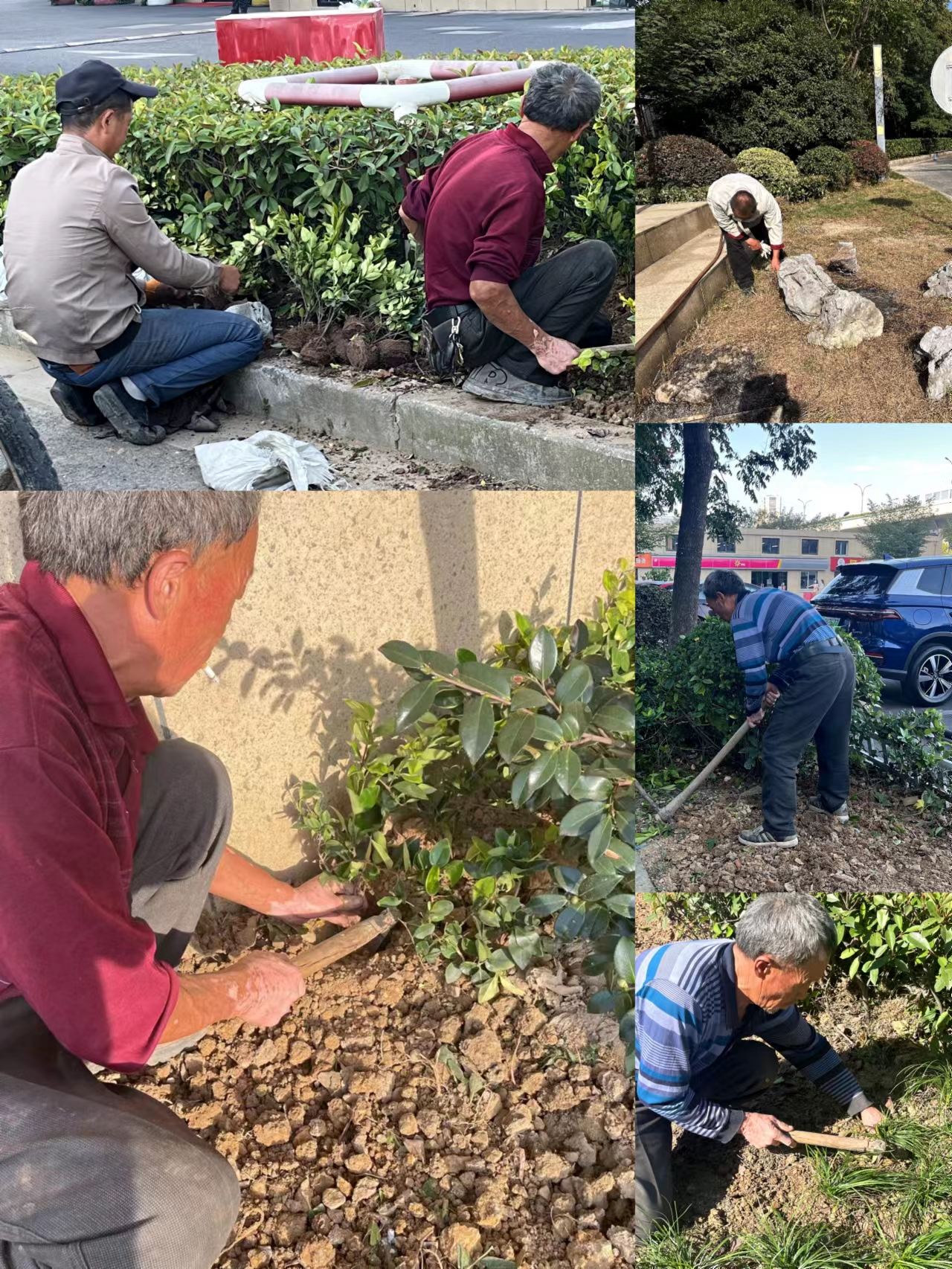 園區(qū)環(huán)境雙升級(jí)，煥然新風(fēng)提水準(zhǔn)