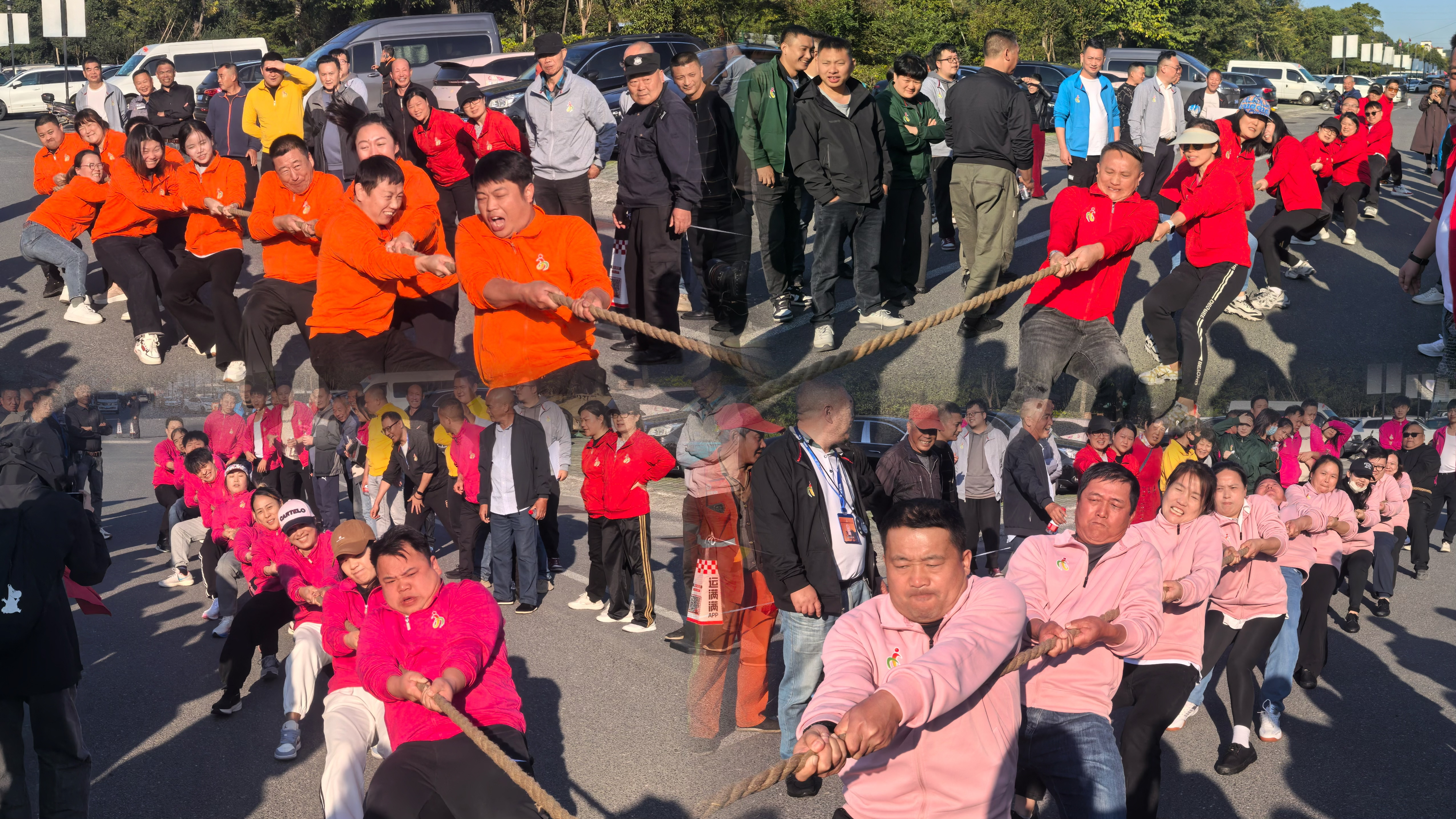 圖片6.png 圖片6.png